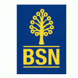 BSN.jpg